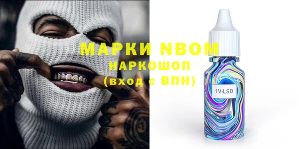 индика Балабаново