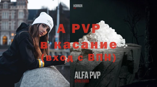 индика Балабаново