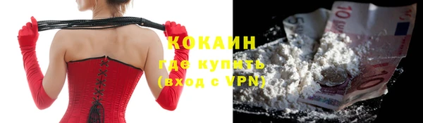 индика Балабаново