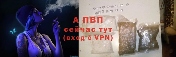 винт Балахна