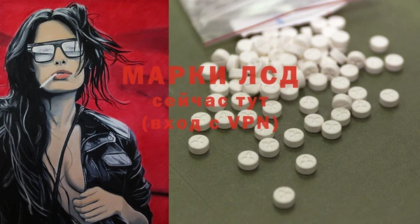 индика Балабаново