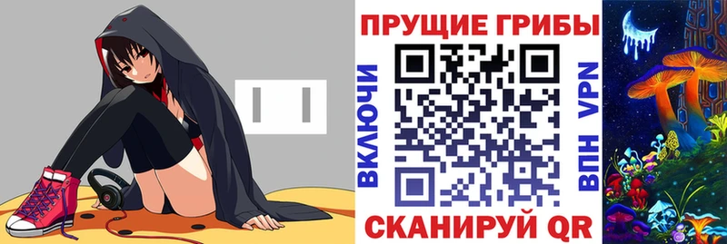 Псилоцибиновые грибы Psilocybe  Юрьевец 