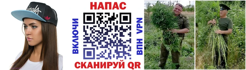 цены наркотик  Юрьевец  МАРИХУАНА марихуана 